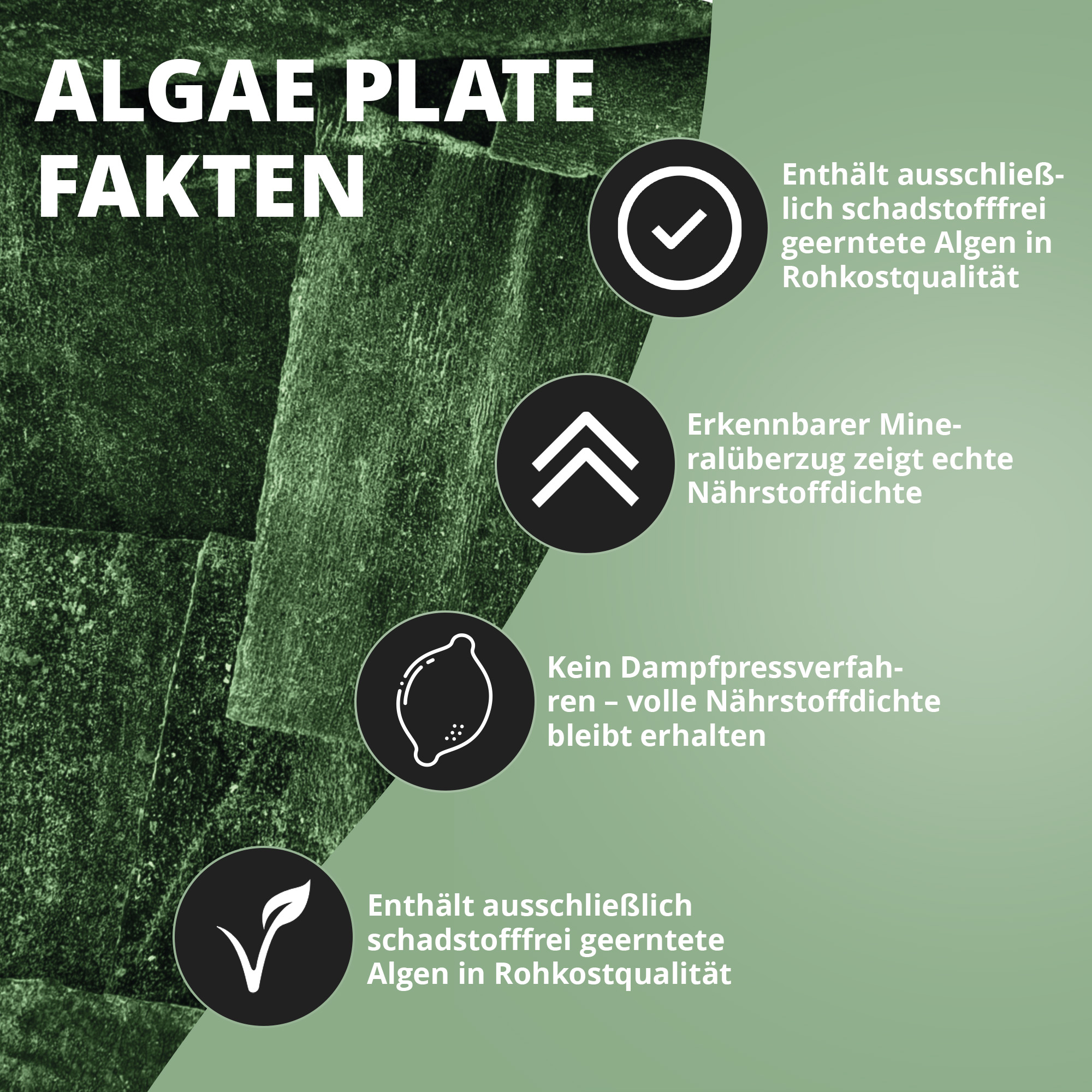 Infografik: Algae Plate – Fakten zu schadstofffreien Algen